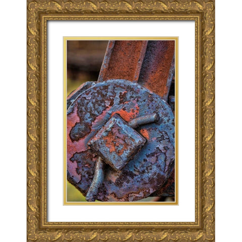 Train Details V Gold Ornate Wood Framed Art Print with Double Matting by Mahan, Kathy