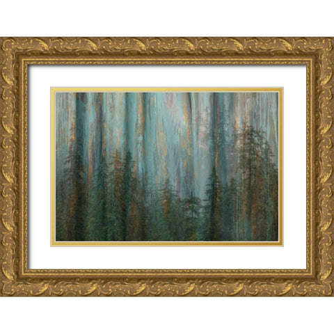 Forest I Gold Ornate Wood Framed Art Print with Double Matting by Mahan, Kathy