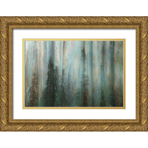 Forest II Gold Ornate Wood Framed Art Print with Double Matting by Mahan, Kathy
