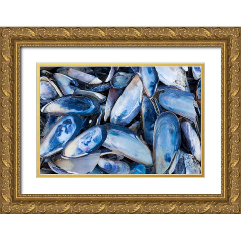 Mussels I Gold Ornate Wood Framed Art Print with Double Matting by Mahan, Kathy
