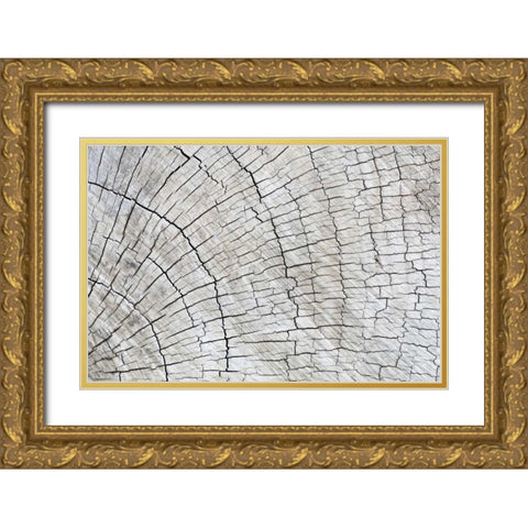 Weathered Wood II Gold Ornate Wood Framed Art Print with Double Matting by Mahan, Kathy