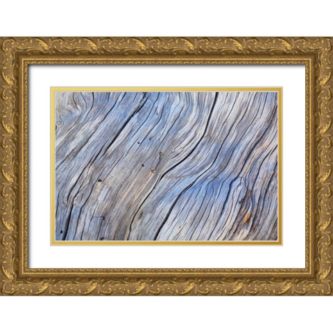 Weathered Wood IV Gold Ornate Wood Framed Art Print with Double Matting by Mahan, Kathy