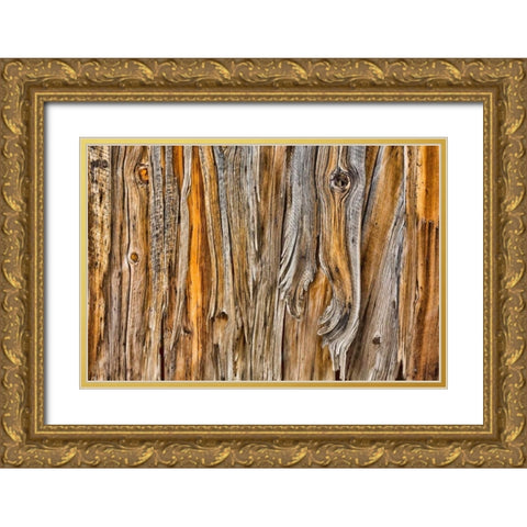 Weathered Wall II Gold Ornate Wood Framed Art Print with Double Matting by Mahan, Kathy