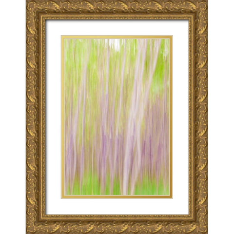 Yakima River Trail II Gold Ornate Wood Framed Art Print with Double Matting by Mahan, Kathy