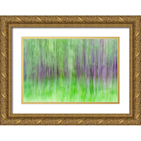 Aspen Blur IV Gold Ornate Wood Framed Art Print with Double Matting by Mahan, Kathy