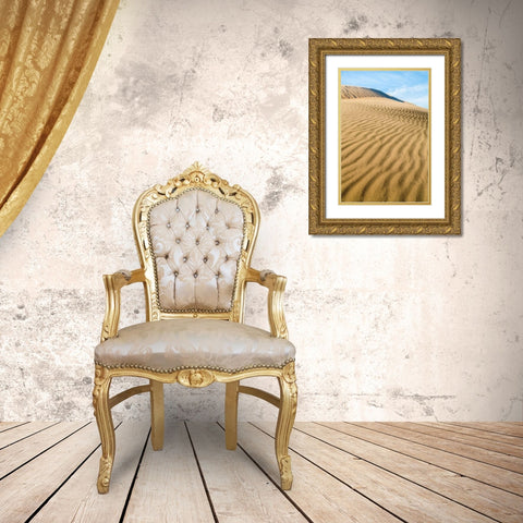 Kelso Dunes II Gold Ornate Wood Framed Art Print with Double Matting by Mahan, Kathy