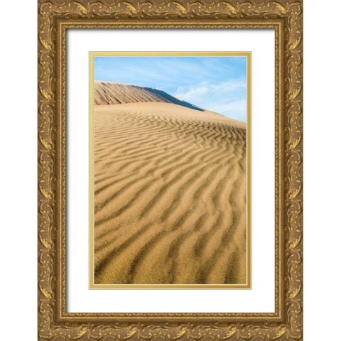 Kelso Dunes II Gold Ornate Wood Framed Art Print with Double Matting by Mahan, Kathy