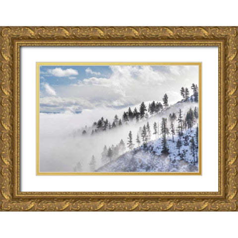 Daggett Pass I Gold Ornate Wood Framed Art Print with Double Matting by Mahan, Kathy