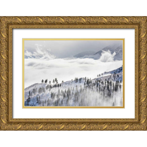 Daggett Pass II Gold Ornate Wood Framed Art Print with Double Matting by Mahan, Kathy
