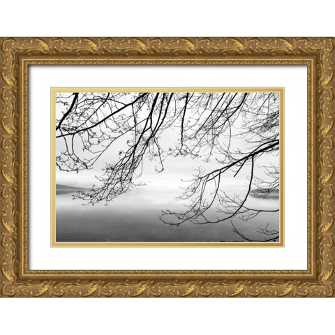 Seabeck Winter II Gold Ornate Wood Framed Art Print with Double Matting by Mahan, Kathy