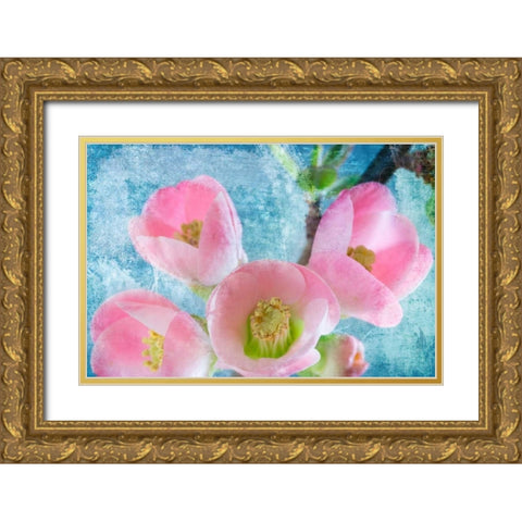 Flowering Quince IV Gold Ornate Wood Framed Art Print with Double Matting by Mahan, Kathy