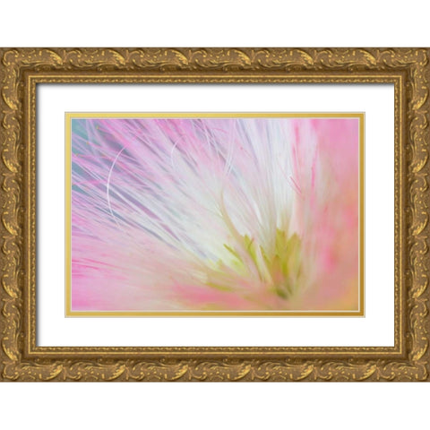 Mimosa Tree Blossom I Gold Ornate Wood Framed Art Print with Double Matting by Mahan, Kathy