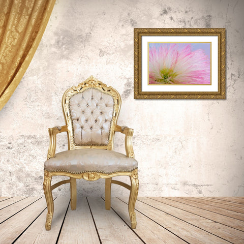 Mimosa Tree Blossom III Gold Ornate Wood Framed Art Print with Double Matting by Mahan, Kathy