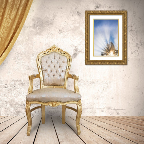 Sunburst I Gold Ornate Wood Framed Art Print with Double Matting by Mahan, Kathy