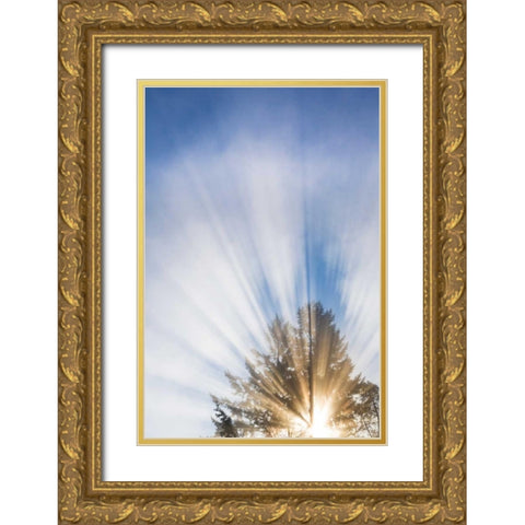 Sunburst I Gold Ornate Wood Framed Art Print with Double Matting by Mahan, Kathy