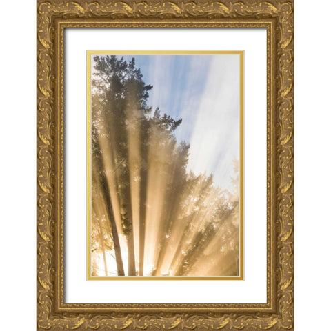 Sunburst II Gold Ornate Wood Framed Art Print with Double Matting by Mahan, Kathy
