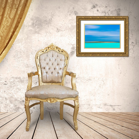 Tropical Abstract IX Gold Ornate Wood Framed Art Print with Double Matting by Mahan, Kathy