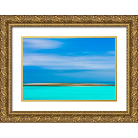 Tropical Abstract IX Gold Ornate Wood Framed Art Print with Double Matting by Mahan, Kathy
