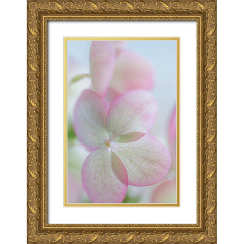 Hydrangea II Gold Ornate Wood Framed Art Print with Double Matting by Mahan, Kathy