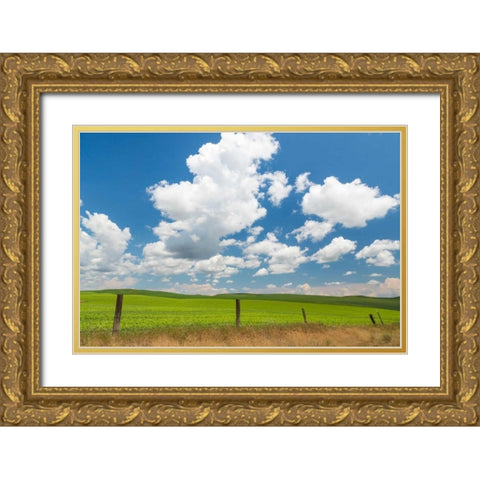 Palouse Farm I Gold Ornate Wood Framed Art Print with Double Matting by Mahan, Kathy