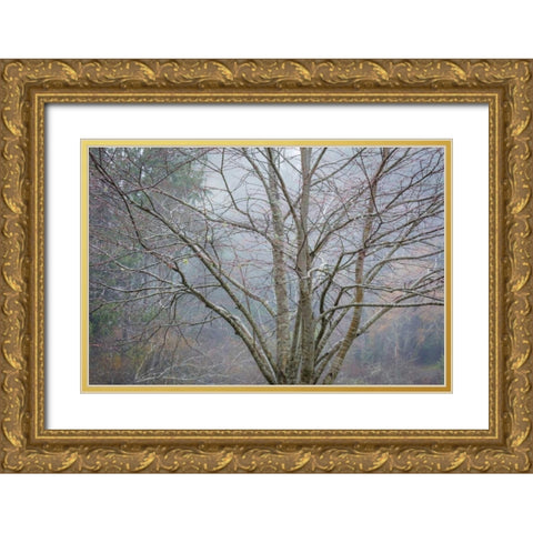 Foggy Winter I Gold Ornate Wood Framed Art Print with Double Matting by Mahan, Kathy