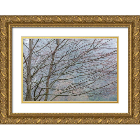 Foggy Winter II Gold Ornate Wood Framed Art Print with Double Matting by Mahan, Kathy