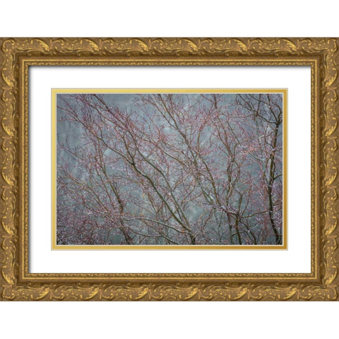 Winter Tree Limbs II Gold Ornate Wood Framed Art Print with Double Matting by Mahan, Kathy