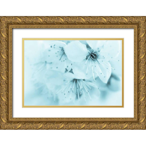 Cherry Blossom II Gold Ornate Wood Framed Art Print with Double Matting by Mahan, Kathy