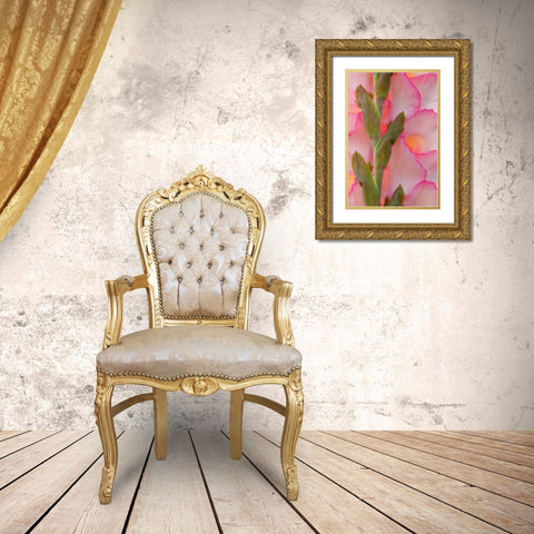 Pink Gladiola I Gold Ornate Wood Framed Art Print with Double Matting by Mahan, Kathy