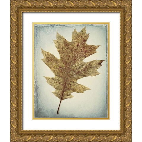 Oak Leaf Gold Ornate Wood Framed Art Print with Double Matting by Mahan, Kathy