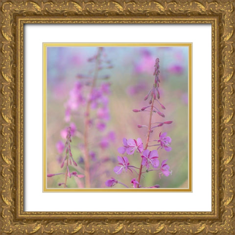 Fireweed I Gold Ornate Wood Framed Art Print with Double Matting by Mahan, Kathy
