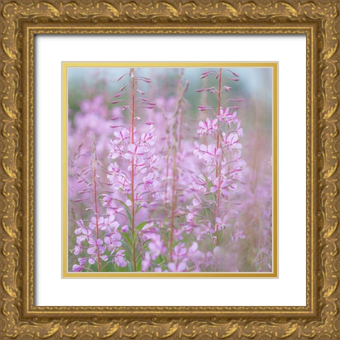Fireweed II Gold Ornate Wood Framed Art Print with Double Matting by Mahan, Kathy