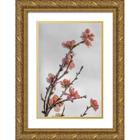 Frozen Flowers II Gold Ornate Wood Framed Art Print with Double Matting by Mahan, Kathy
