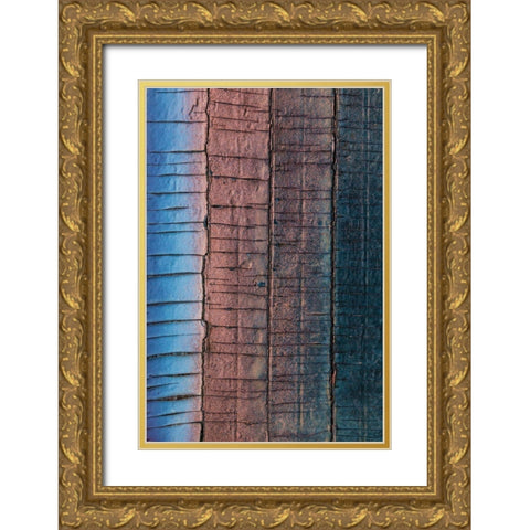 Weathered Gold Ornate Wood Framed Art Print with Double Matting by Mahan, Kathy