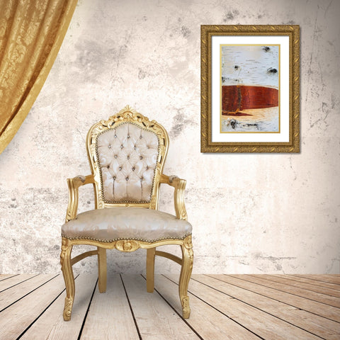 Paper Birch Gold Ornate Wood Framed Art Print with Double Matting by Mahan, Kathy