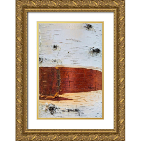 Paper Birch Gold Ornate Wood Framed Art Print with Double Matting by Mahan, Kathy
