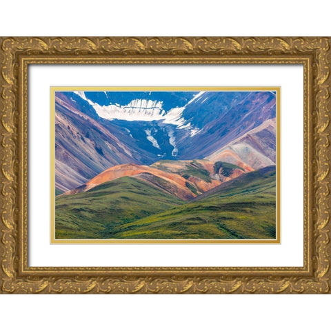 Danali National Park II Gold Ornate Wood Framed Art Print with Double Matting by Mahan, Kathy
