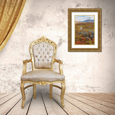 Arctic National Preserve I Gold Ornate Wood Framed Art Print with Double Matting by Mahan, Kathy