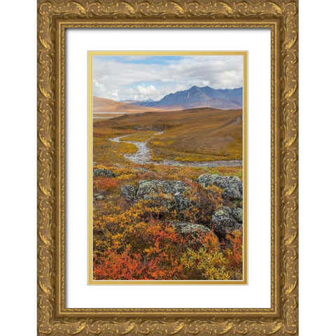 Arctic National Preserve I Gold Ornate Wood Framed Art Print with Double Matting by Mahan, Kathy