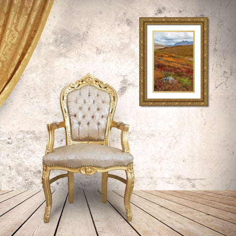 Arctic National Preserve II Gold Ornate Wood Framed Art Print with Double Matting by Mahan, Kathy