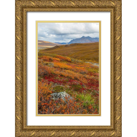Arctic National Preserve II Gold Ornate Wood Framed Art Print with Double Matting by Mahan, Kathy