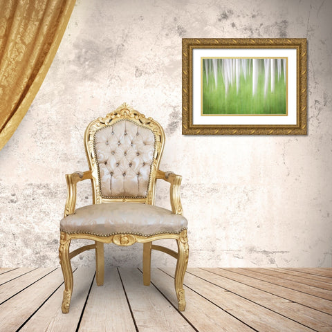 Birch in Motion Gold Ornate Wood Framed Art Print with Double Matting by Mahan, Kathy
