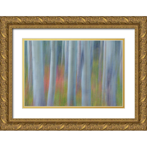 Aspen in Motion II Gold Ornate Wood Framed Art Print with Double Matting by Mahan, Kathy