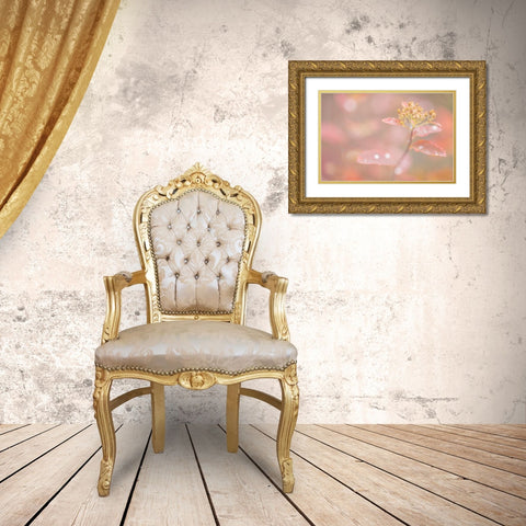 Arctic Fall Colors Gold Ornate Wood Framed Art Print with Double Matting by Mahan, Kathy