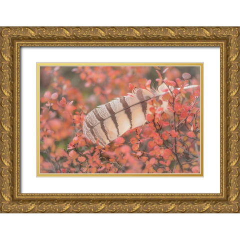 Owl Feather Gold Ornate Wood Framed Art Print with Double Matting by Mahan, Kathy