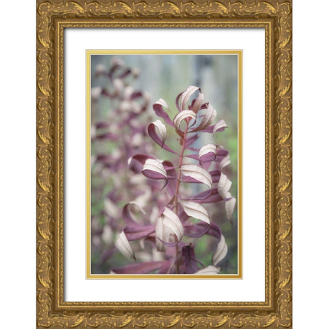 Fireweed in Fall II Gold Ornate Wood Framed Art Print with Double Matting by Mahan, Kathy