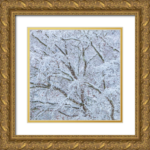 Snow Covered Trees I Gold Ornate Wood Framed Art Print with Double Matting by Mahan, Kathy