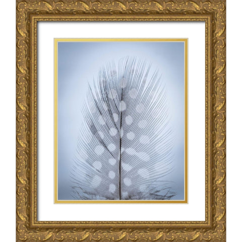 Feather Study I Gold Ornate Wood Framed Art Print with Double Matting by Mahan, Kathy