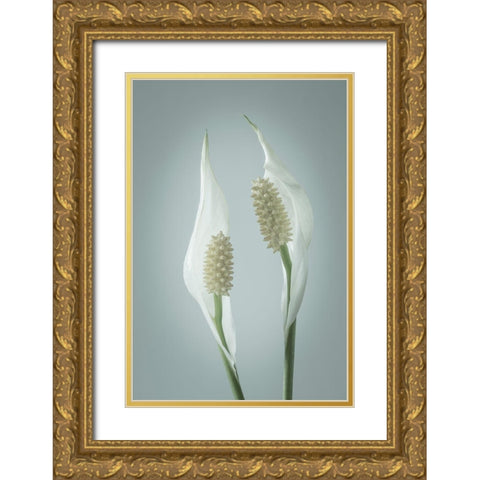 Peace Lily II Gold Ornate Wood Framed Art Print with Double Matting by Mahan, Kathy