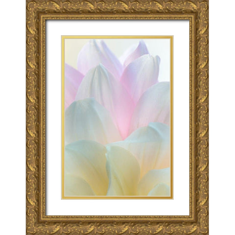 Dahlia Blossom II Gold Ornate Wood Framed Art Print with Double Matting by Mahan, Kathy